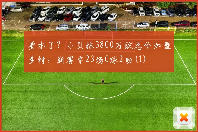 要水了？小贝林3800万欧总价加盟多特，新赛季23场0球2助(1)